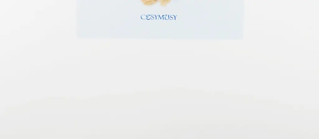 코지모지 Cheer Up 테디베어 키링 엽서 5종 택1 상세페이지 17