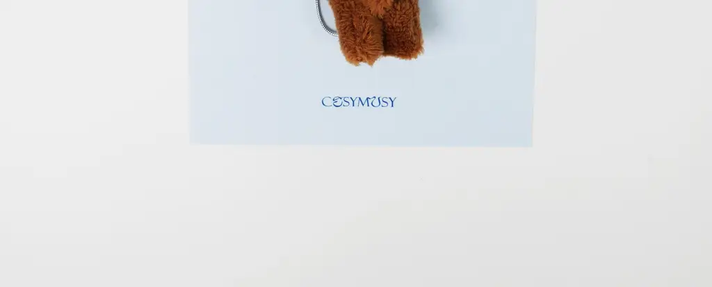 코지모지 Cheer Up 테디베어 키링 엽서 5종 택1 상세페이지 24