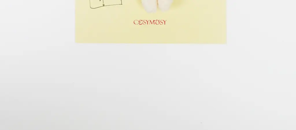 코지모지 Happy Birth & Congratulation 테디베어 키링 엽서 5종 택1 상세페이지 16