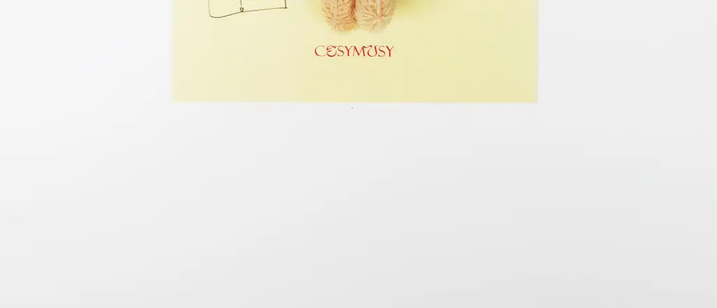 코지모지 Happy Birth & Congratulation 테디베어 키링 엽서 5종 택1 상세페이지 23