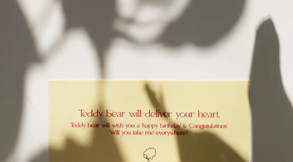 코지모지 Happy Birth & Congratulation 테디베어 키링 엽서 5종 택1 상세페이지 25