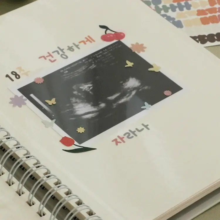 아이코닉 콜렉트 접착식 앨범 상세페이지 2