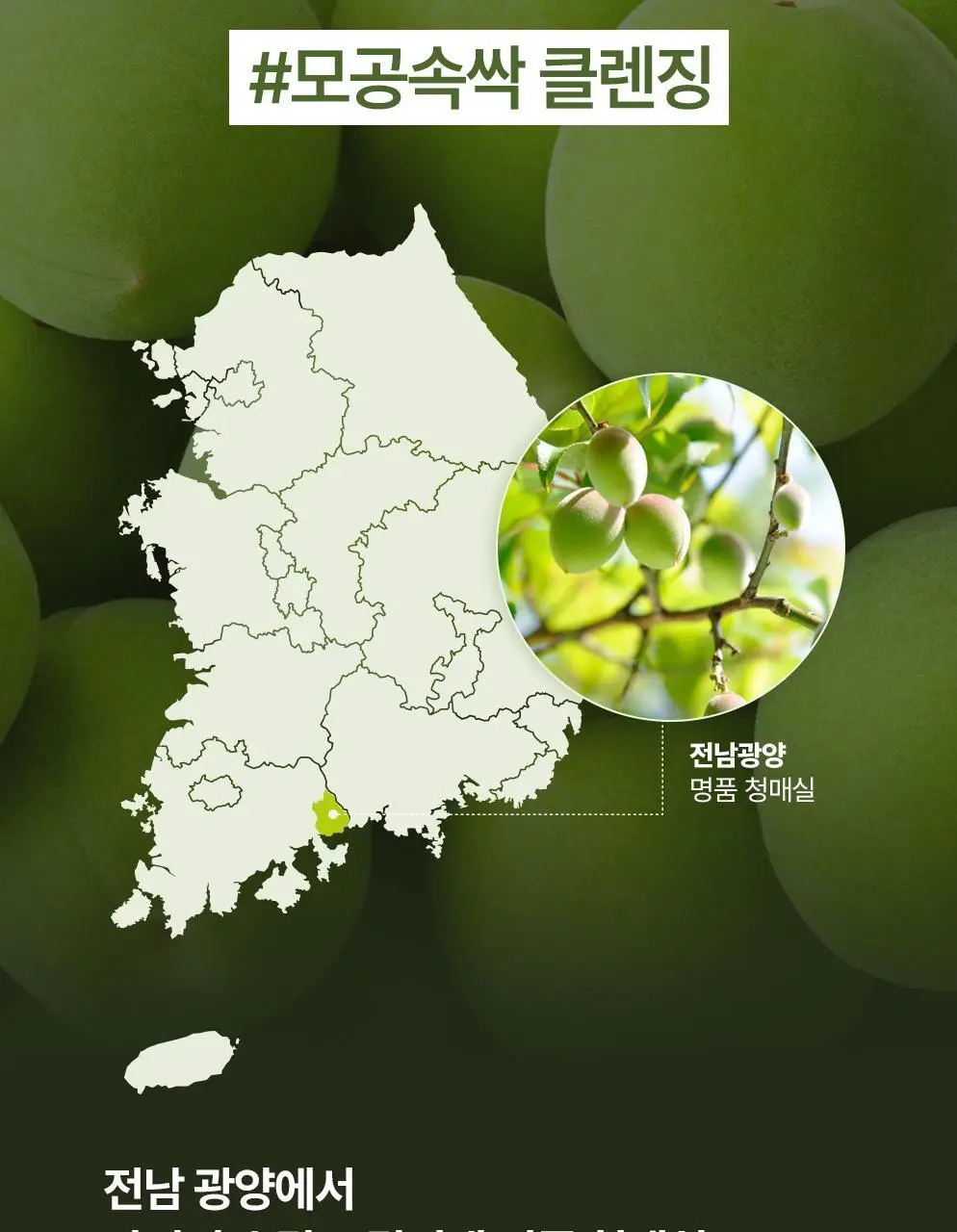 CKD 그린플럼 아하바하 메이크업제로 클렌징 오일밤 50ml (+모공브러시 증정) 상세페이지 17