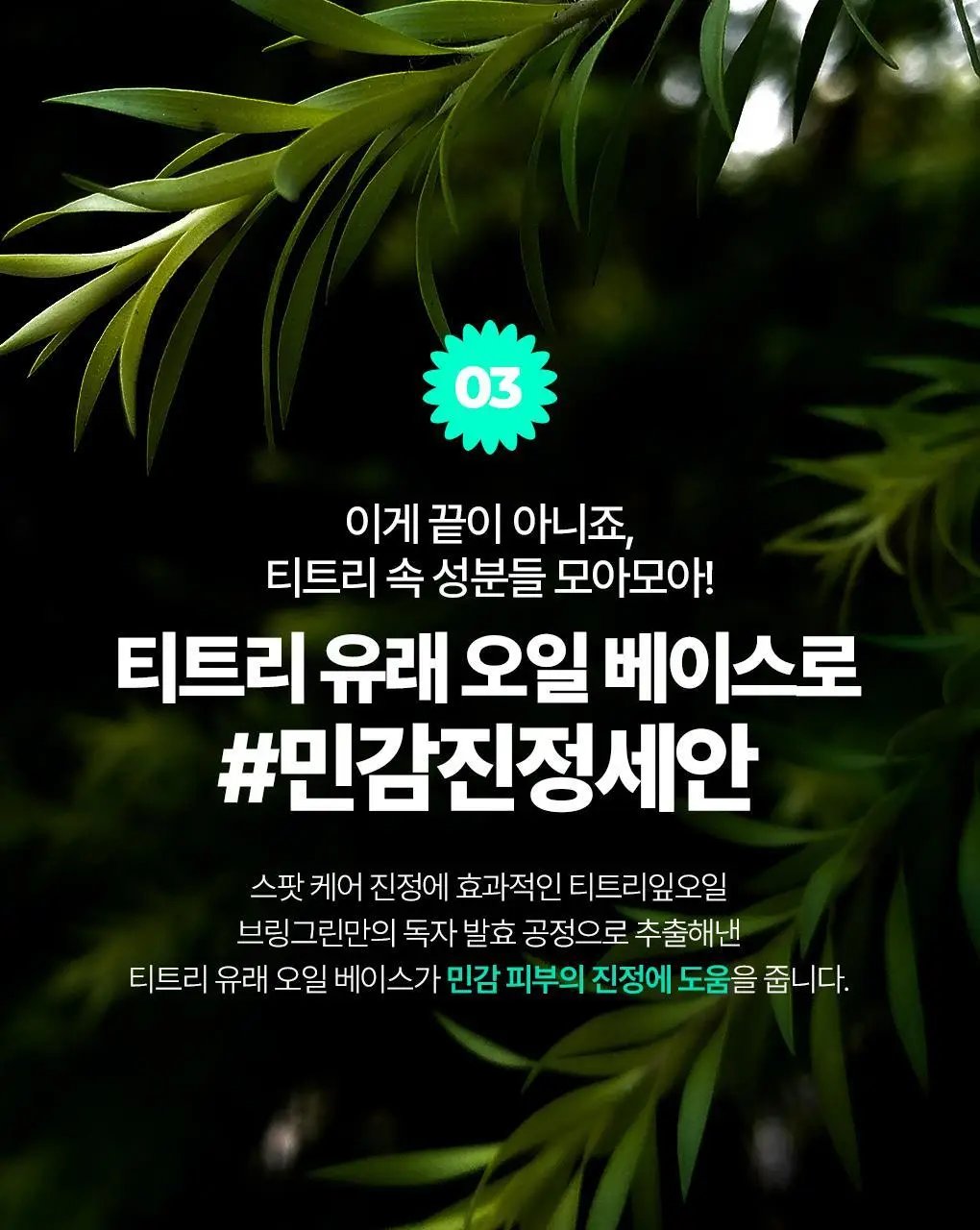 브링그린 티트리 시카 딥클렌징 오일 200mL 상세페이지 19