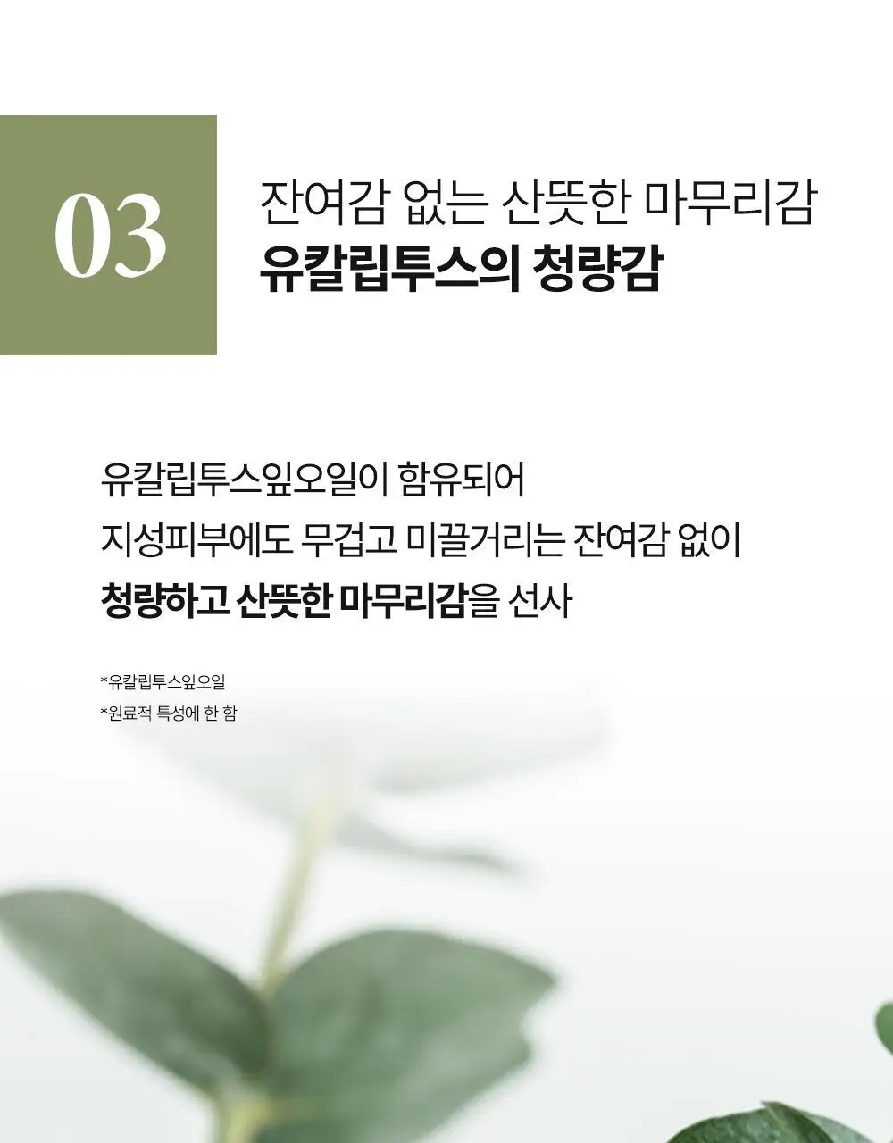 에센허브 소이빈90 딥클렌징오일 유칼립투스 300ml 상세페이지 12