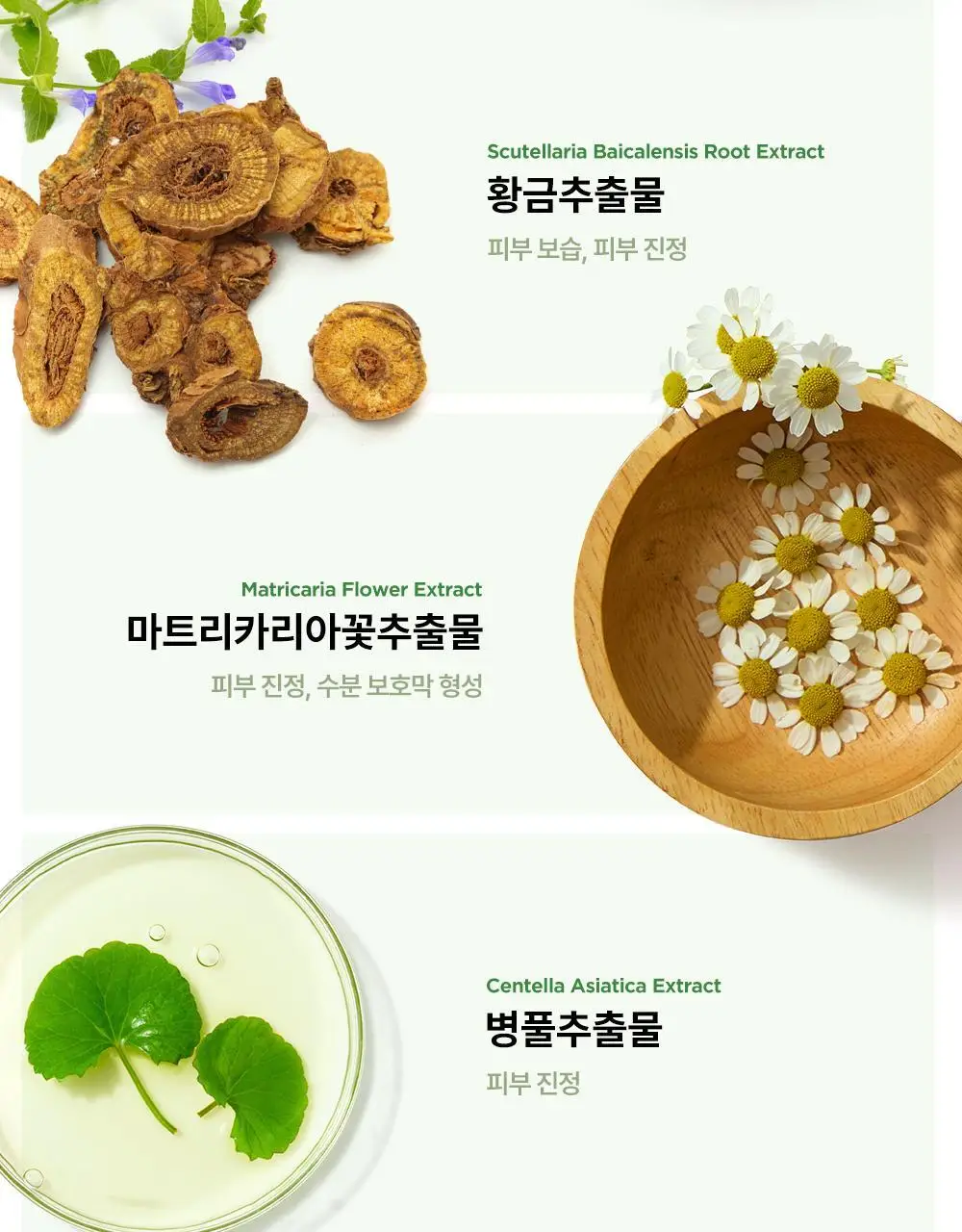BRTC 안티폴루션 앤 블랙헤드 클렌징오일 300ml 기획 (+ 폼 20ml 증정) 상세페이지 17