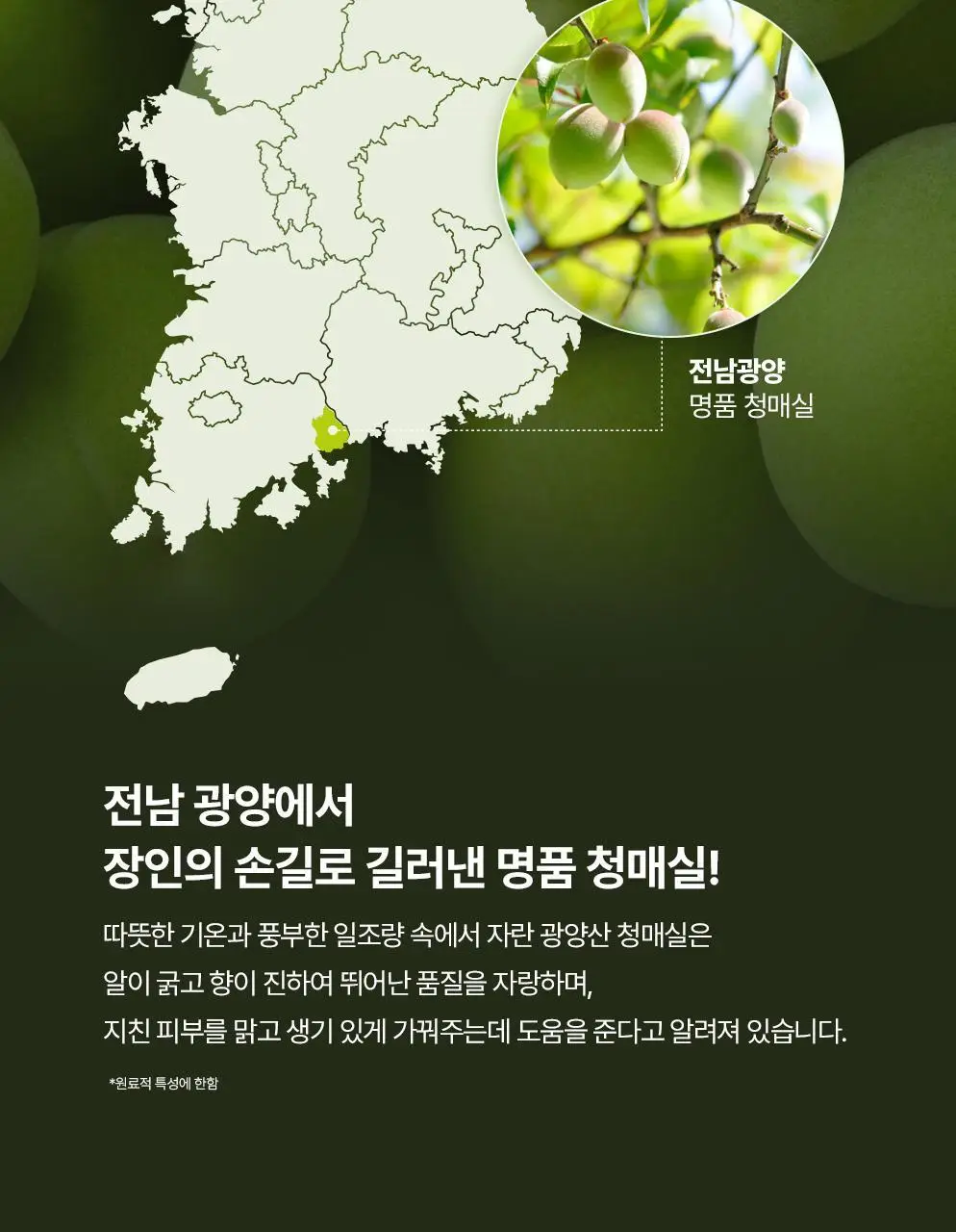 CKD 그린플럼 아하바하 요철제로 클렌징오일 200ml (+모공브러시 증정) 상세페이지 16