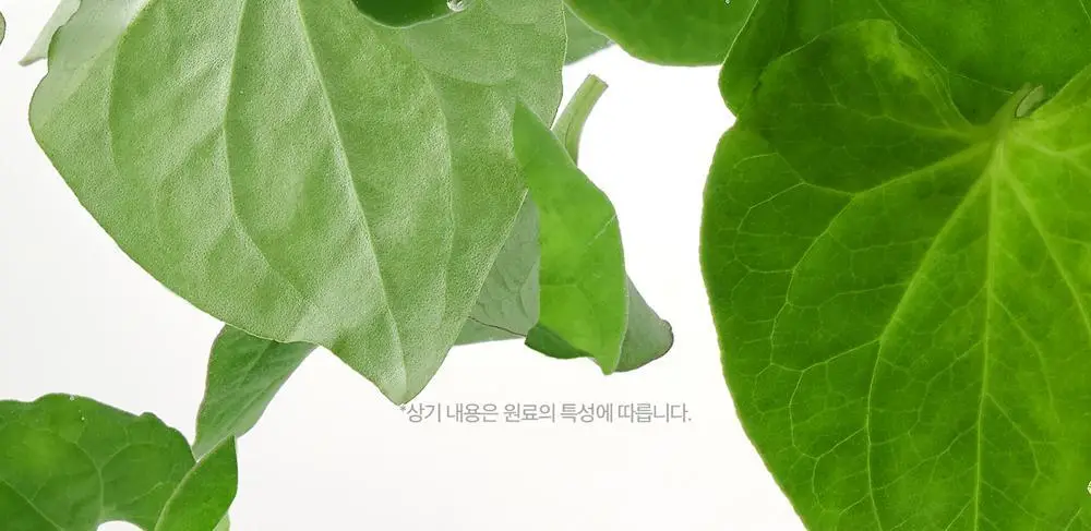 블랑네이처 9배 어성초 버블 클렌징 밀크 150ml 기획 (+30ml) 상세페이지 33