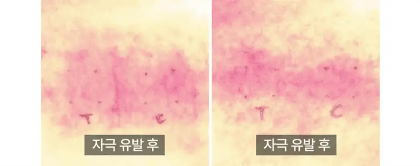 딘시 프리미엄 비건 약산성 히알루론산 폼클렌저 150ml 상세페이지 9