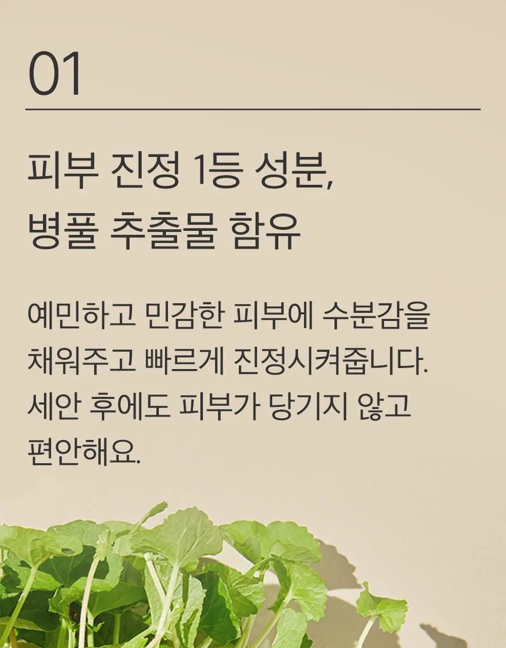 믹순 병풀 클렌징 폼 150ml 상세페이지 9