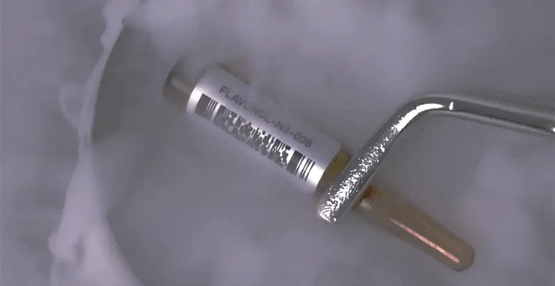 벨프리모 안티크네 약산성 젤클렌저 125g 기획 (+30g) 상세페이지 9