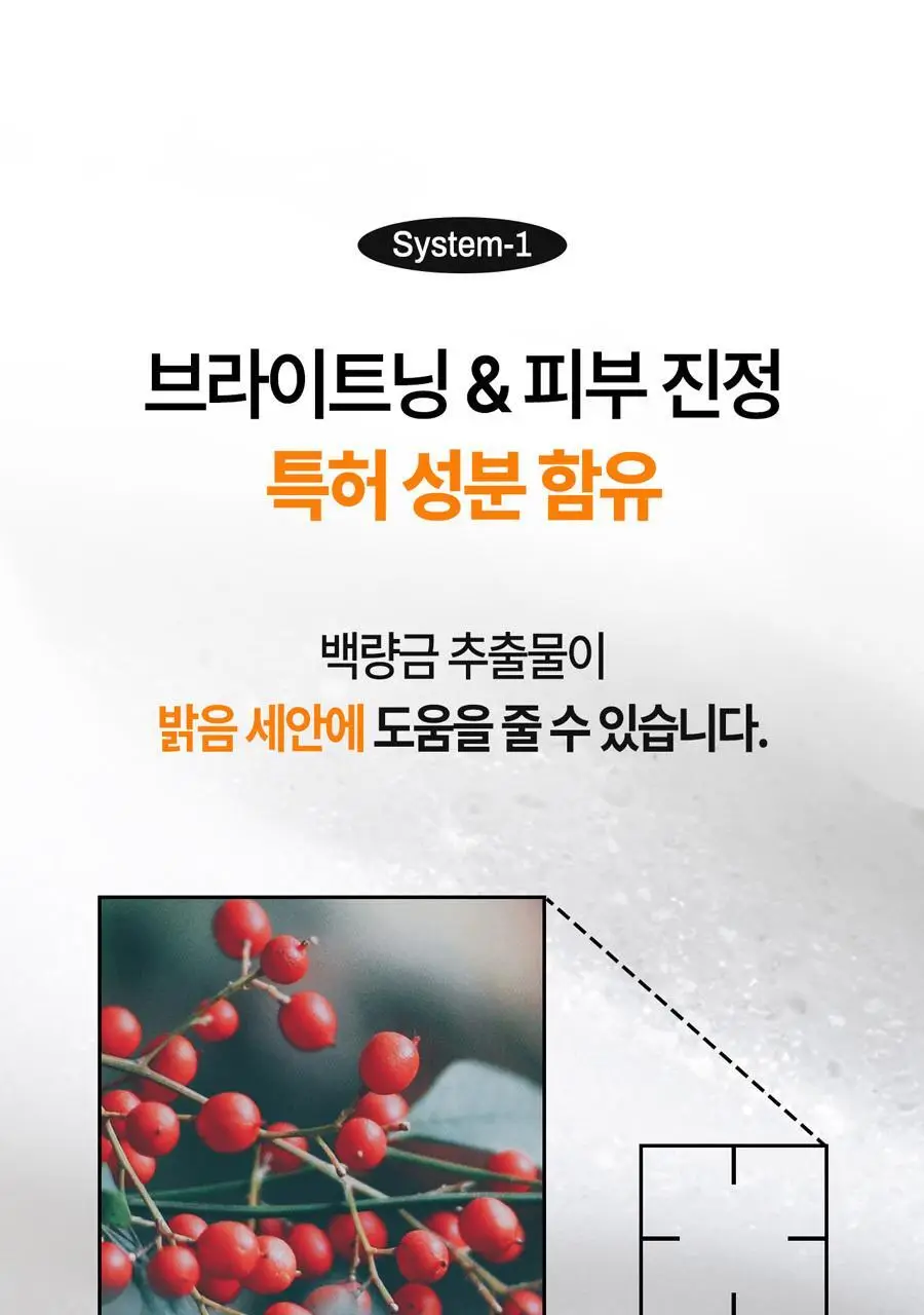 브리올옴므 브라이트닝 대용량 폼클렌징 500ml 상세페이지 34