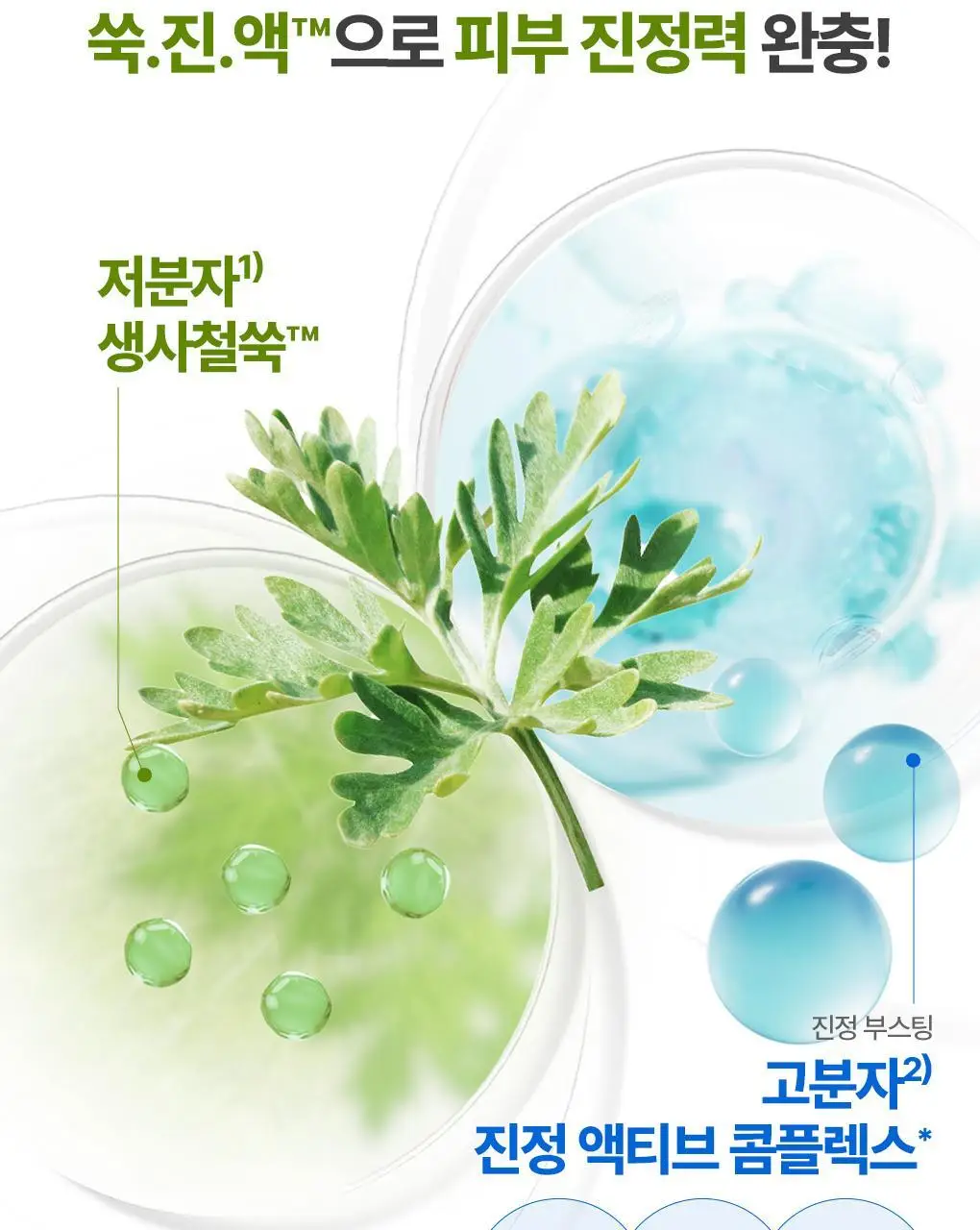 브링그린 사철쑥 카밍EX 모델링팩투폼 클렌저 120mL 더블기획 상세페이지 14