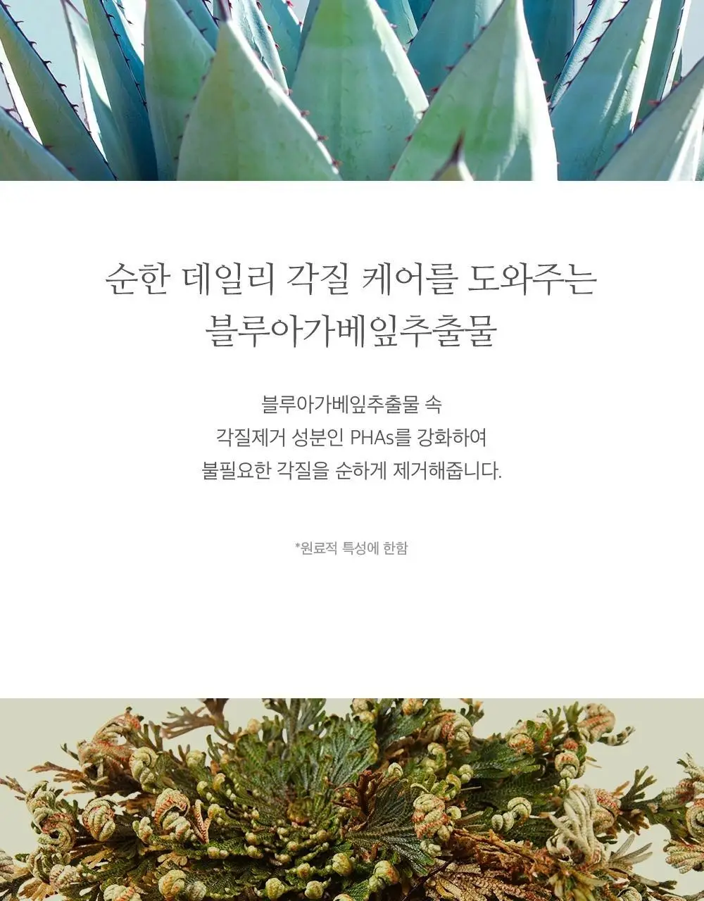 에이트루 오리진 퓨어 밸런싱 클렌징폼 150ml 상세페이지 5