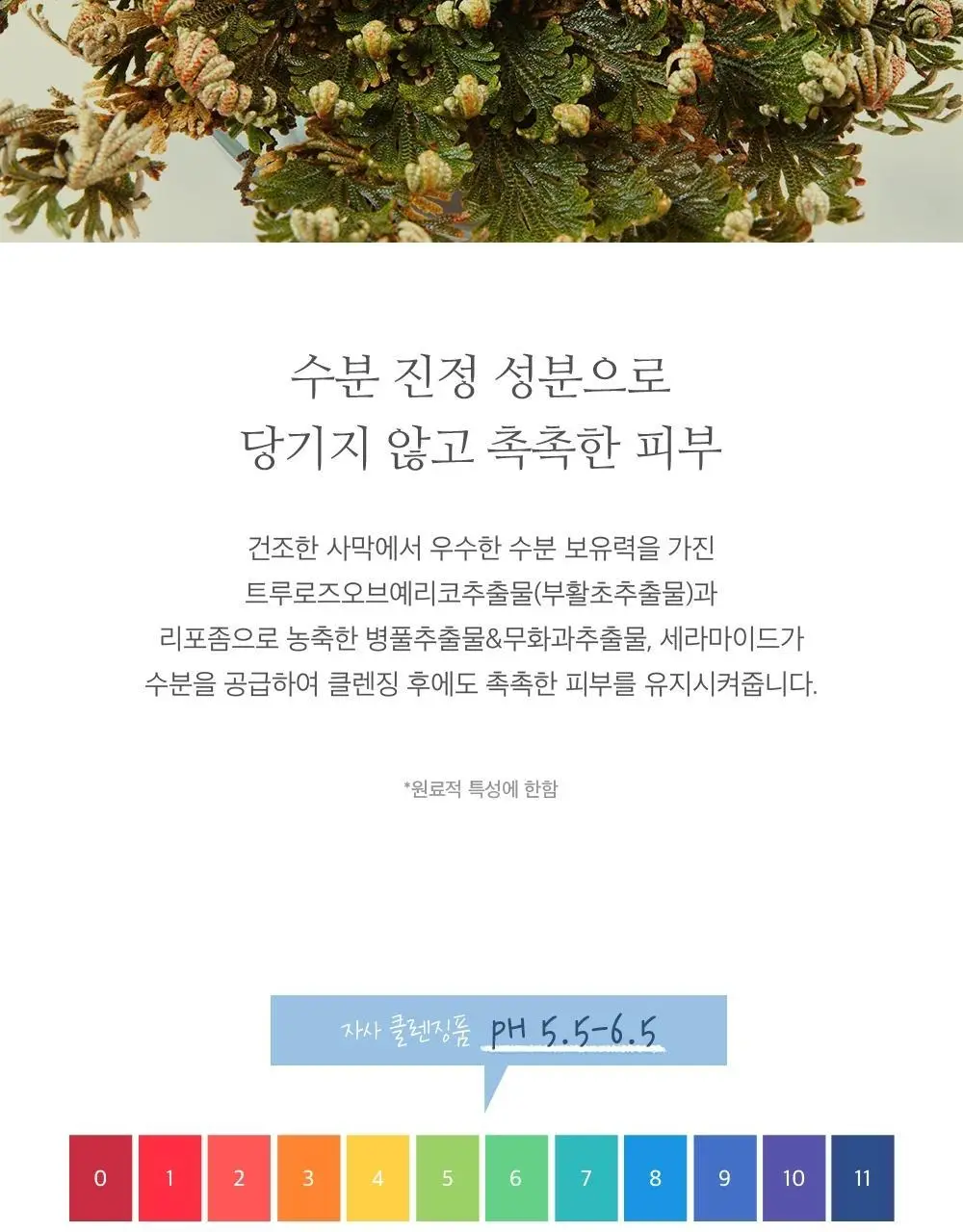 에이트루 오리진 퓨어 밸런싱 클렌징폼 150ml 상세페이지 6