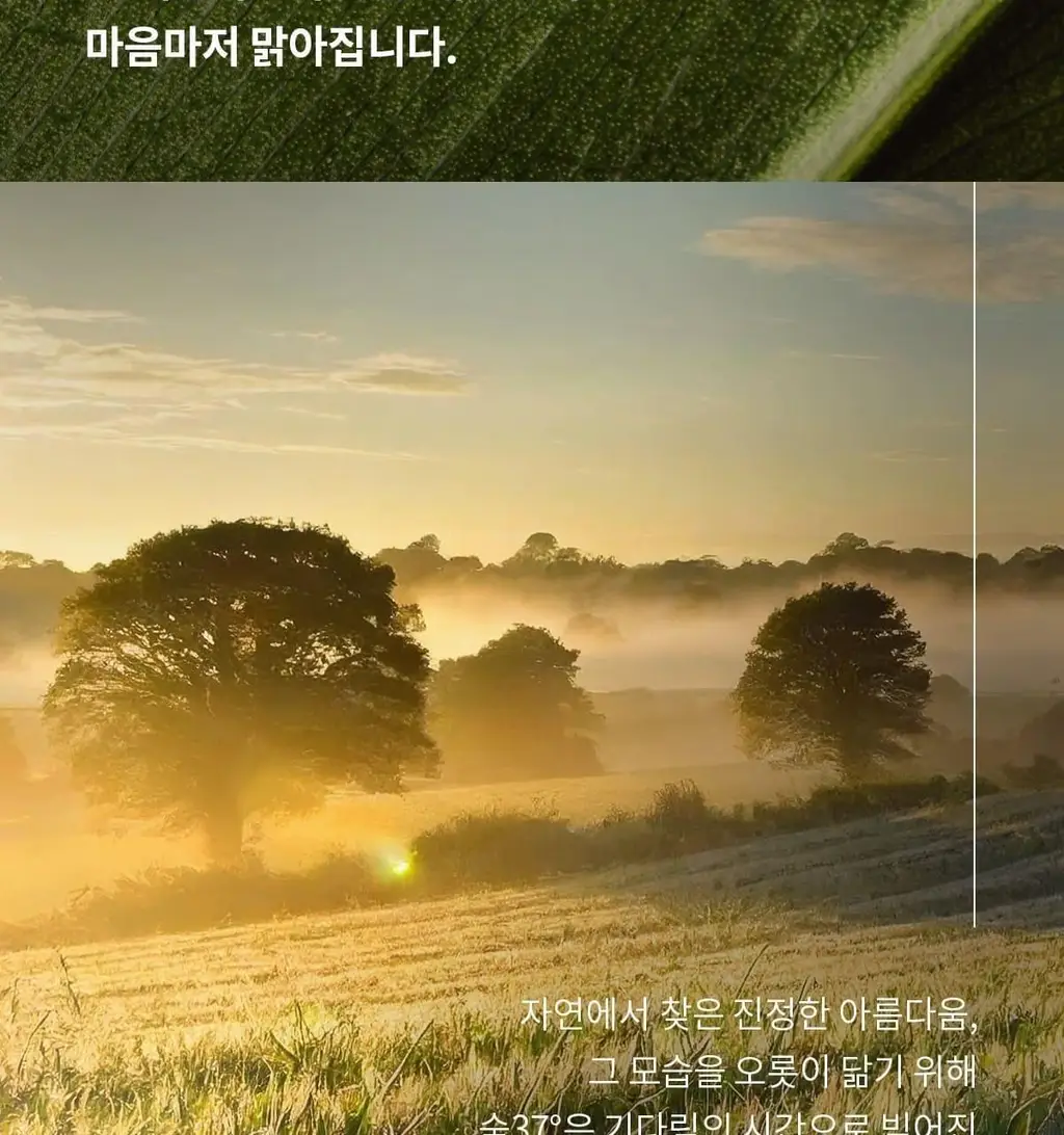 숨37 타임에너지 브라이트 클레이 팩 클렌저 150ml 상세페이지 4