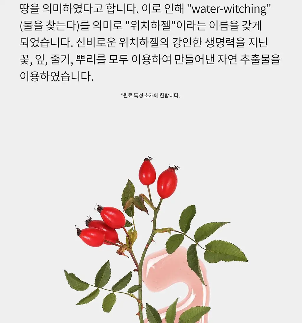 아렌시아 그린 아르티장 클렌저 120g 상세페이지 22