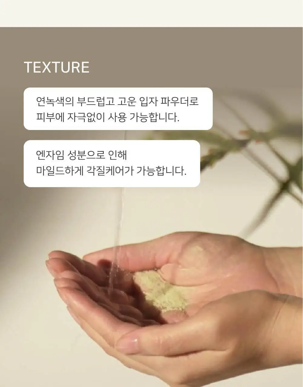 연작 전초 폼 앤 엑스폴리언트 80g 상세페이지 7