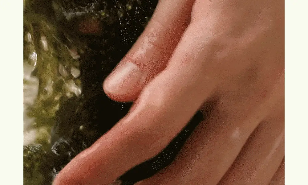 마미케어 바다포도 피지연화제 145ml 상세페이지 13