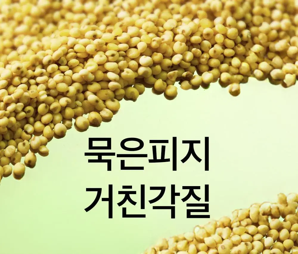 비플레인 녹두 모공 스케일링 워터 150ml 기획 (+초밀착 화장솜 40매) 상세페이지 3