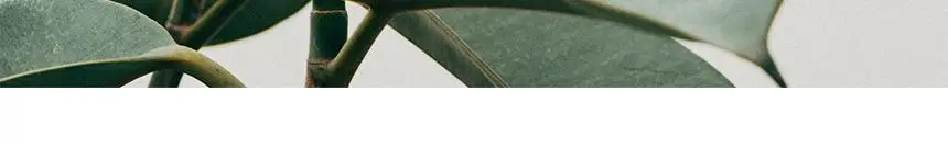 와플 긴팔 원피스 수영복 모노키니 상세페이지 2