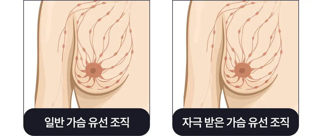 마른파이브 스무브 앞지퍼 컨트롤집업 심리스 스포츠브라 상세페이지 16