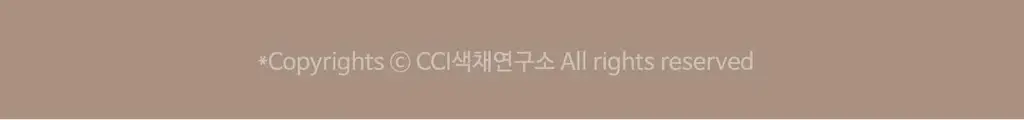 도로시와 퍼스널컬러 스킨브라 상세페이지 60