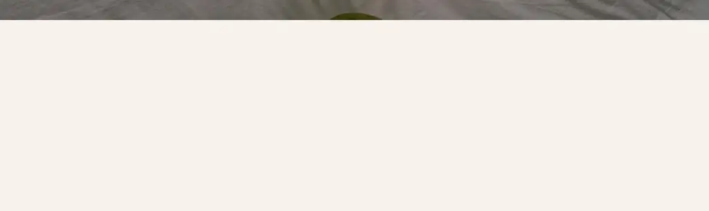 마른파이브 노와이어 날마다 모달브라 15종 택1 상세페이지 64
