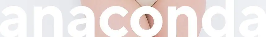아나콘다이너웨어 더핏브라 글로우브라운 / 웨딩드레스크림 상세페이지 2