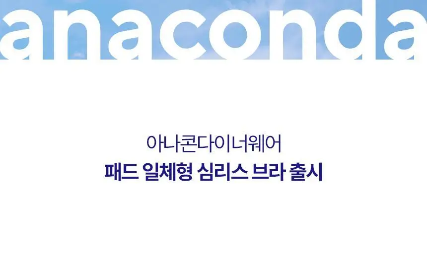 아나콘다이너웨어 썸머 핏 브라 상세페이지 2