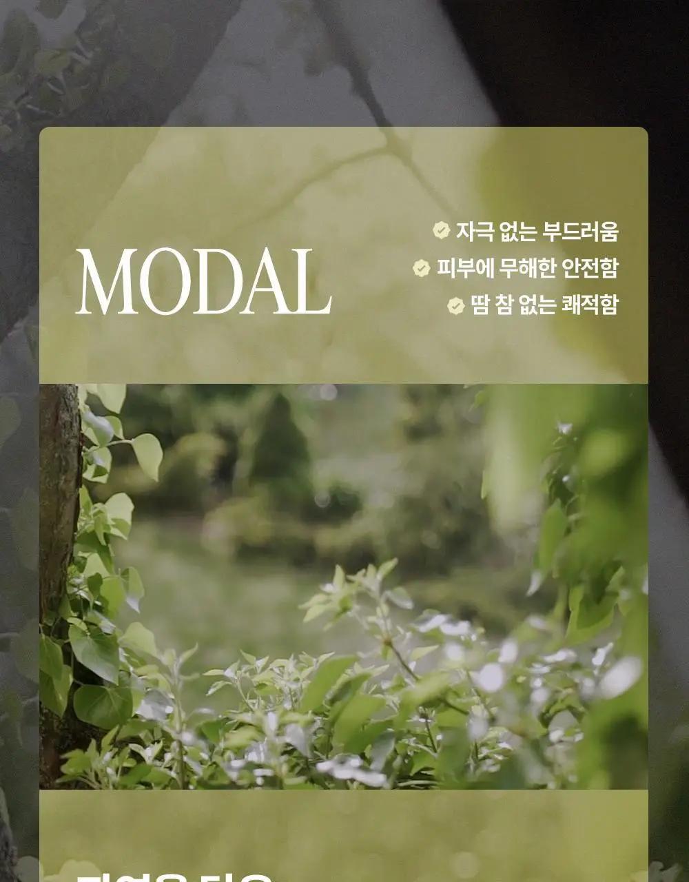 마른파이브 쉬어 모달 브라탑 & 팬티 세트 상세페이지 12