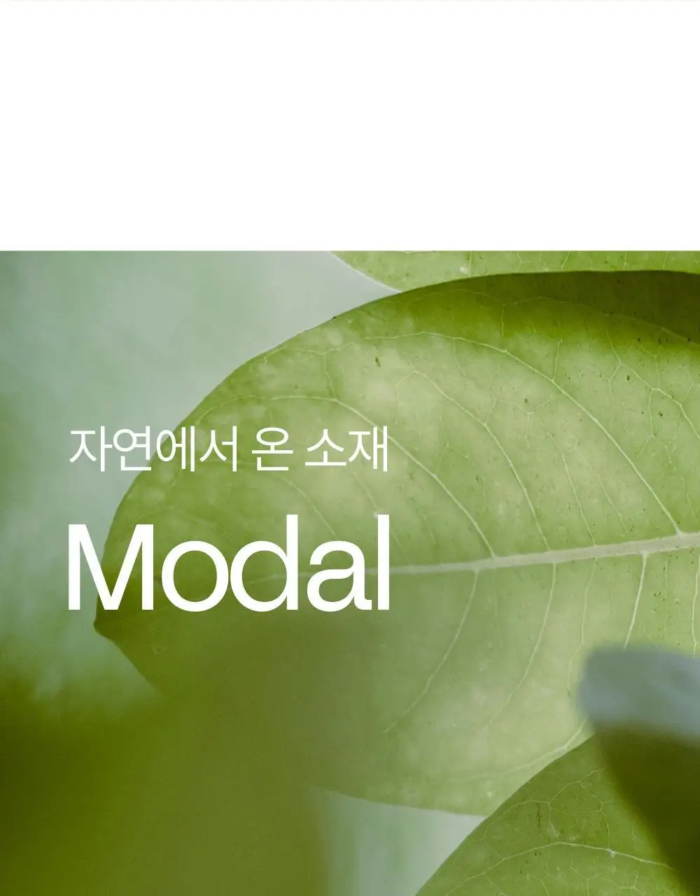 마른파이브 쉬어 슬립 캡내장 브리즈 모달 (블랙,그레이,화이트) 상세페이지 12
