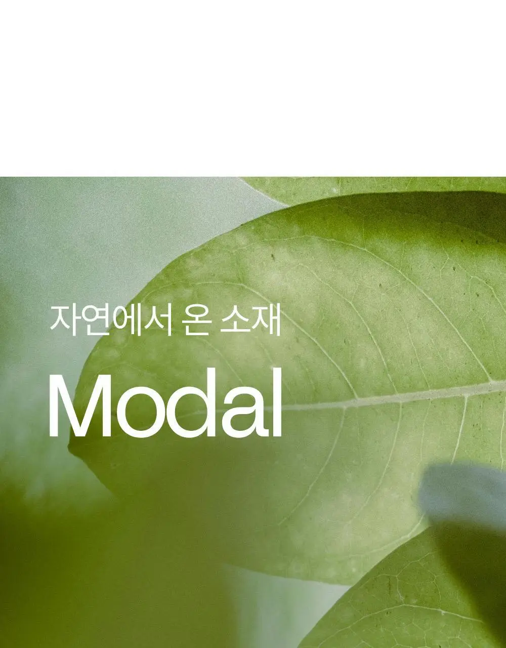 마른파이브 캡내장 모달 브라캡 나시탑 F/L~XXL (블랙/그레이/스킨/아이보리) 상세페이지 19
