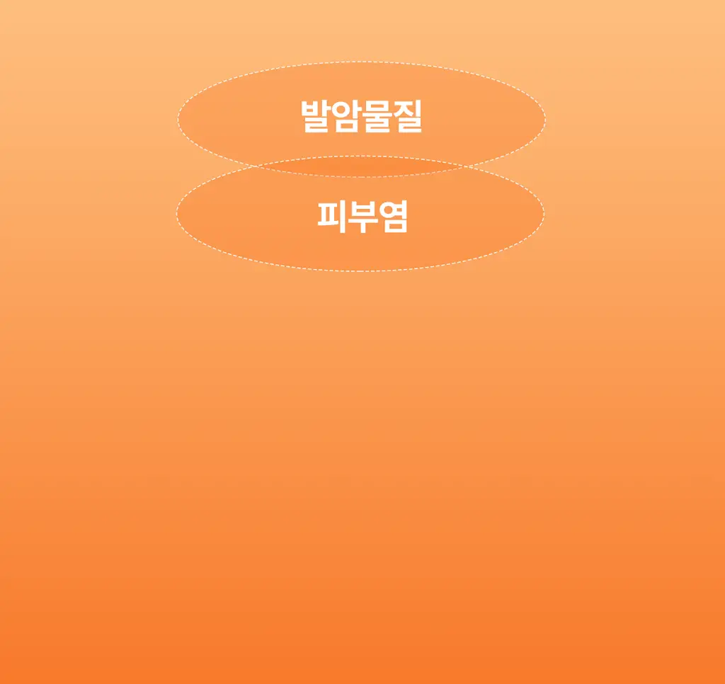 마른파이브 히트터치 엑스트라웜 기모 온열내의 상의 티셔츠 상세페이지 197
