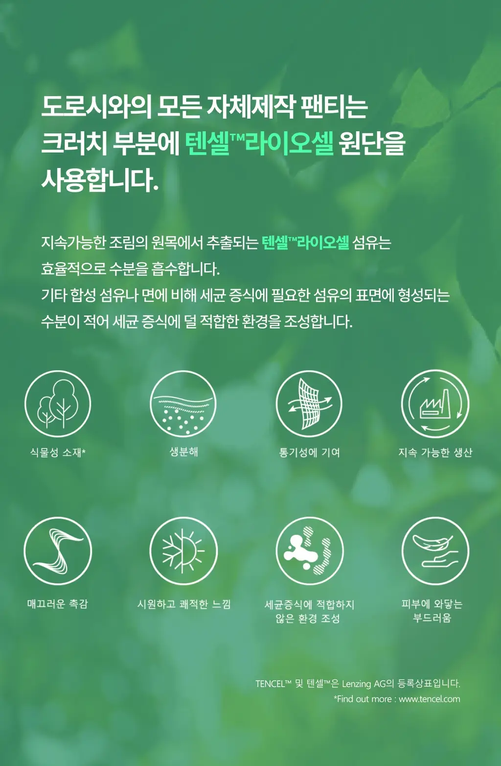 도로시와 풀샷 심리스 서포트 힙허거팬티 상세페이지 8