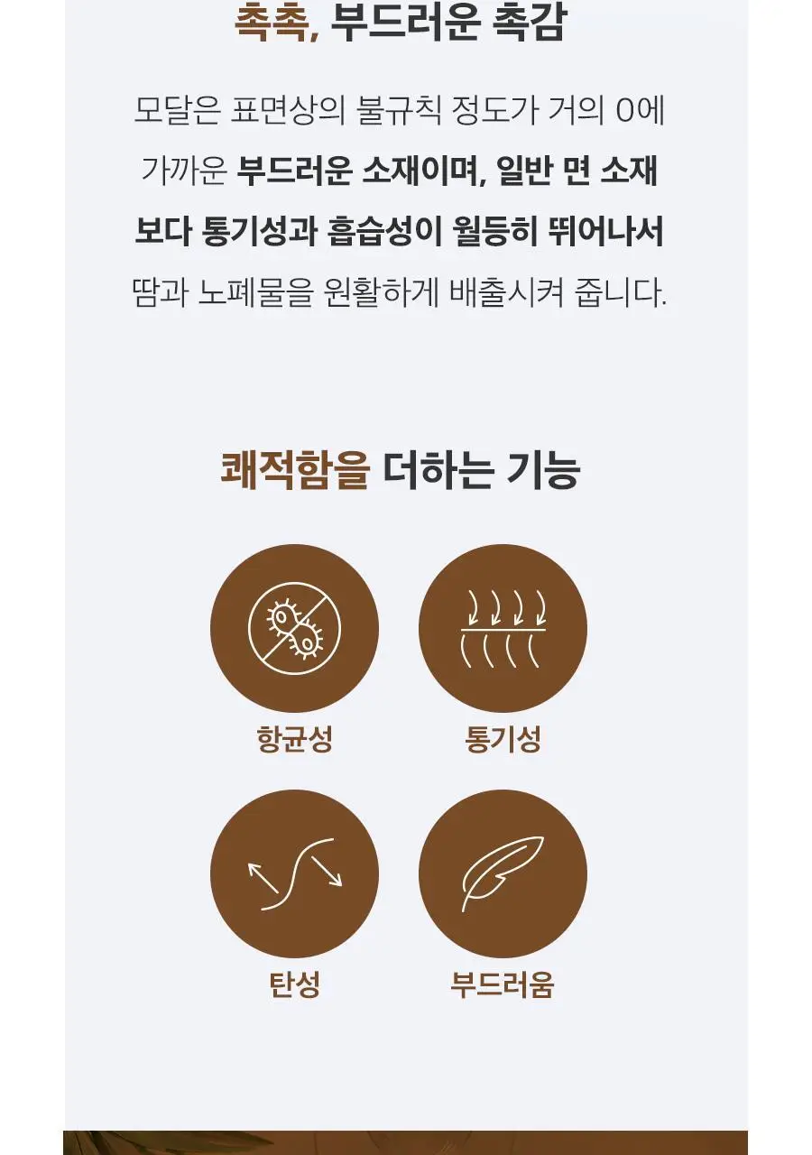 마른파이브 리치모달 데일리 노라인팬티 2매 1세트 14종 택1 상세페이지 8