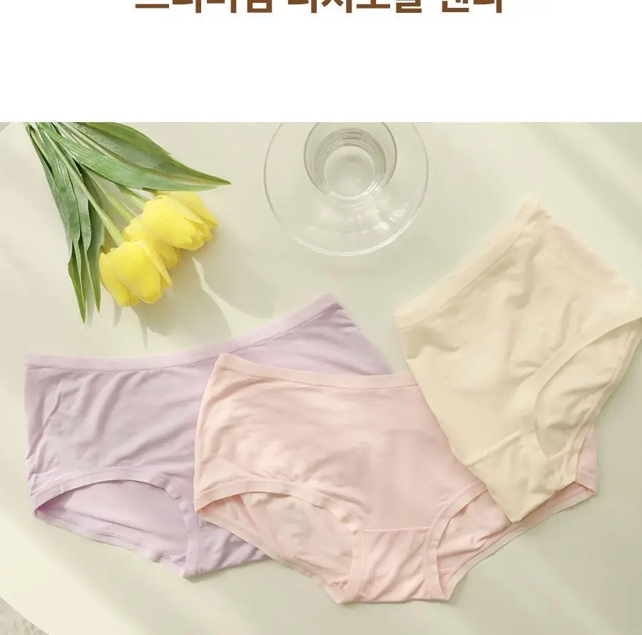 마른파이브 리치모달 데일리 노라인팬티 2매 1세트 14종 택1 상세페이지 22