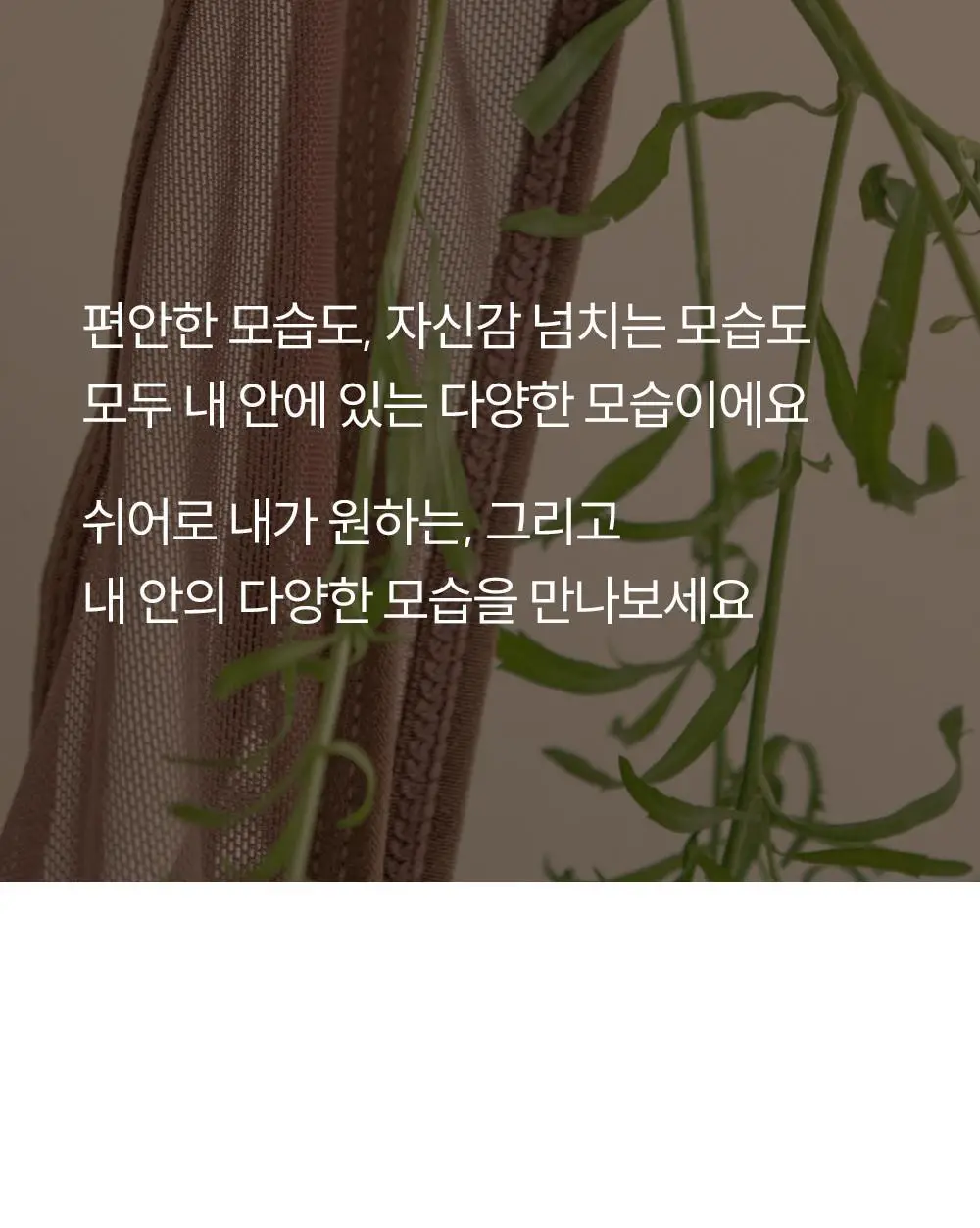 마른파이브 쉬어 메쉬 브이컷 티팬티 4colors (S~XL) 상세페이지 10