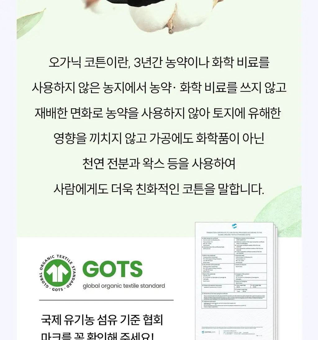 마른파이브 쉬어 위생팬티 햄라인 상세페이지 140