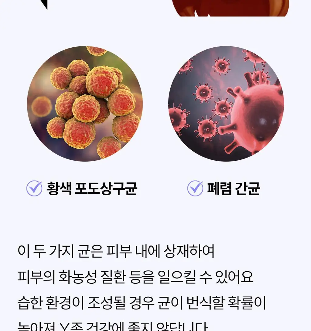 마른파이브 쉬어 위생팬티 햄라인 상세페이지 143