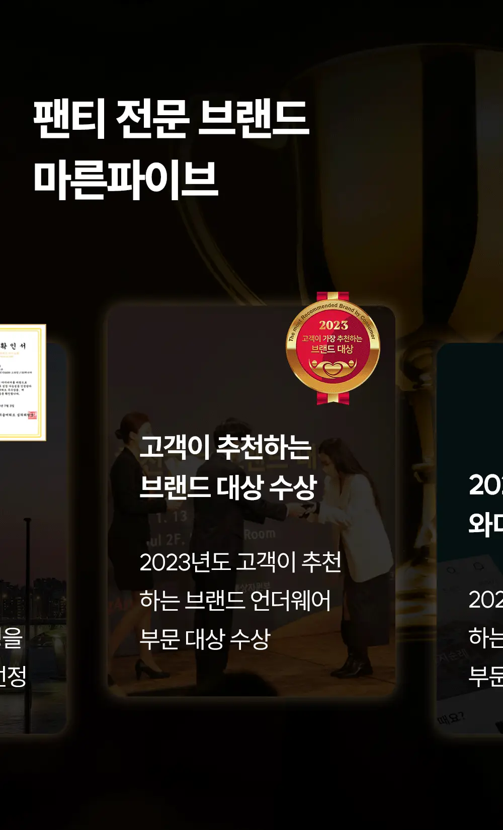 마른파이브 쉬어 티팬티 W커버 쿠션 2colors (블랙/스킨) 상세페이지 24