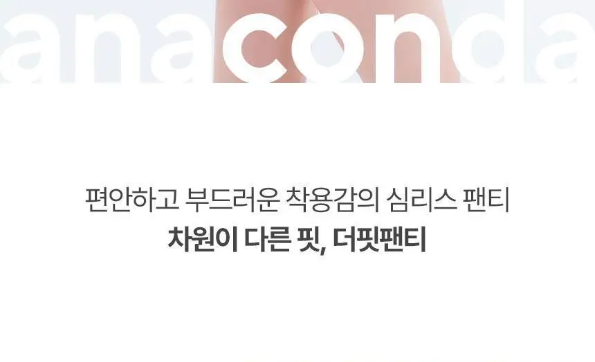 아나콘다이너웨어 더핏팬티 상세페이지 2