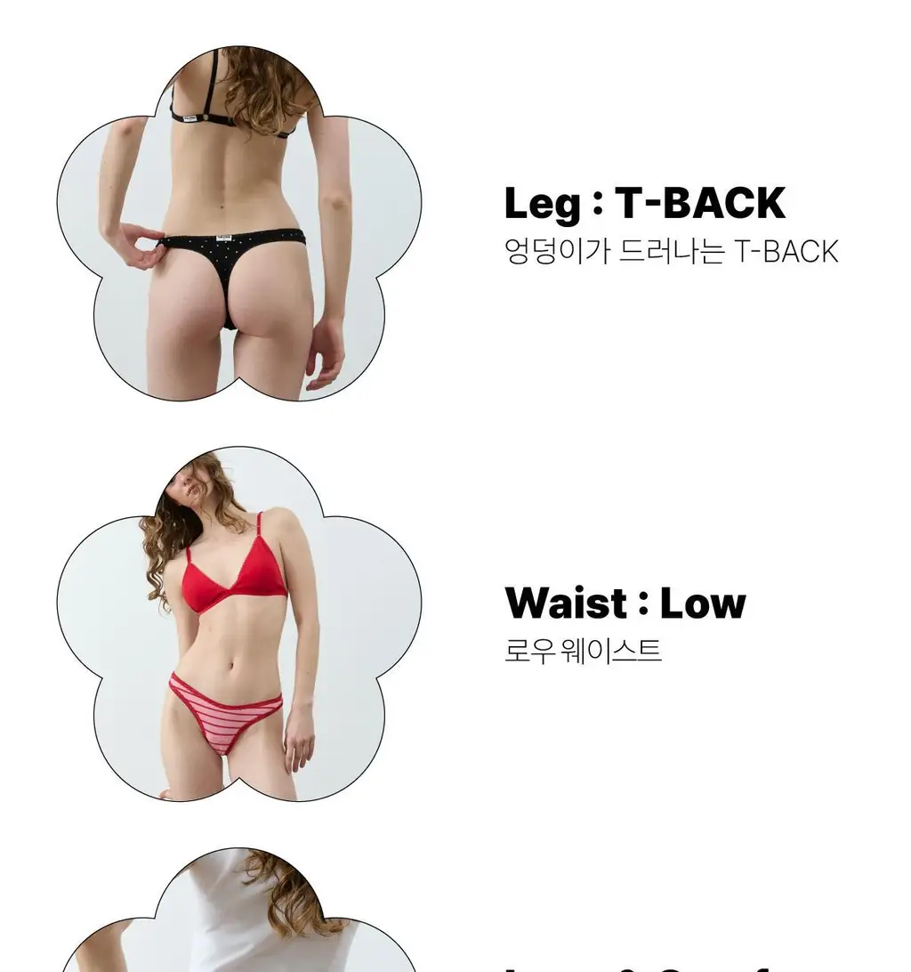 펠로 아 펠로 프리클 T-back 5colors (S~L) 상세페이지 3