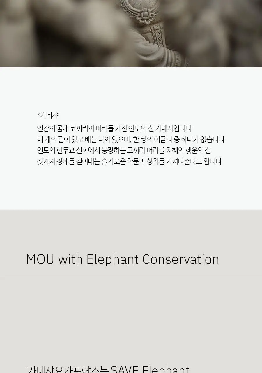 더 가네샤 요가매트 백 상세페이지 40