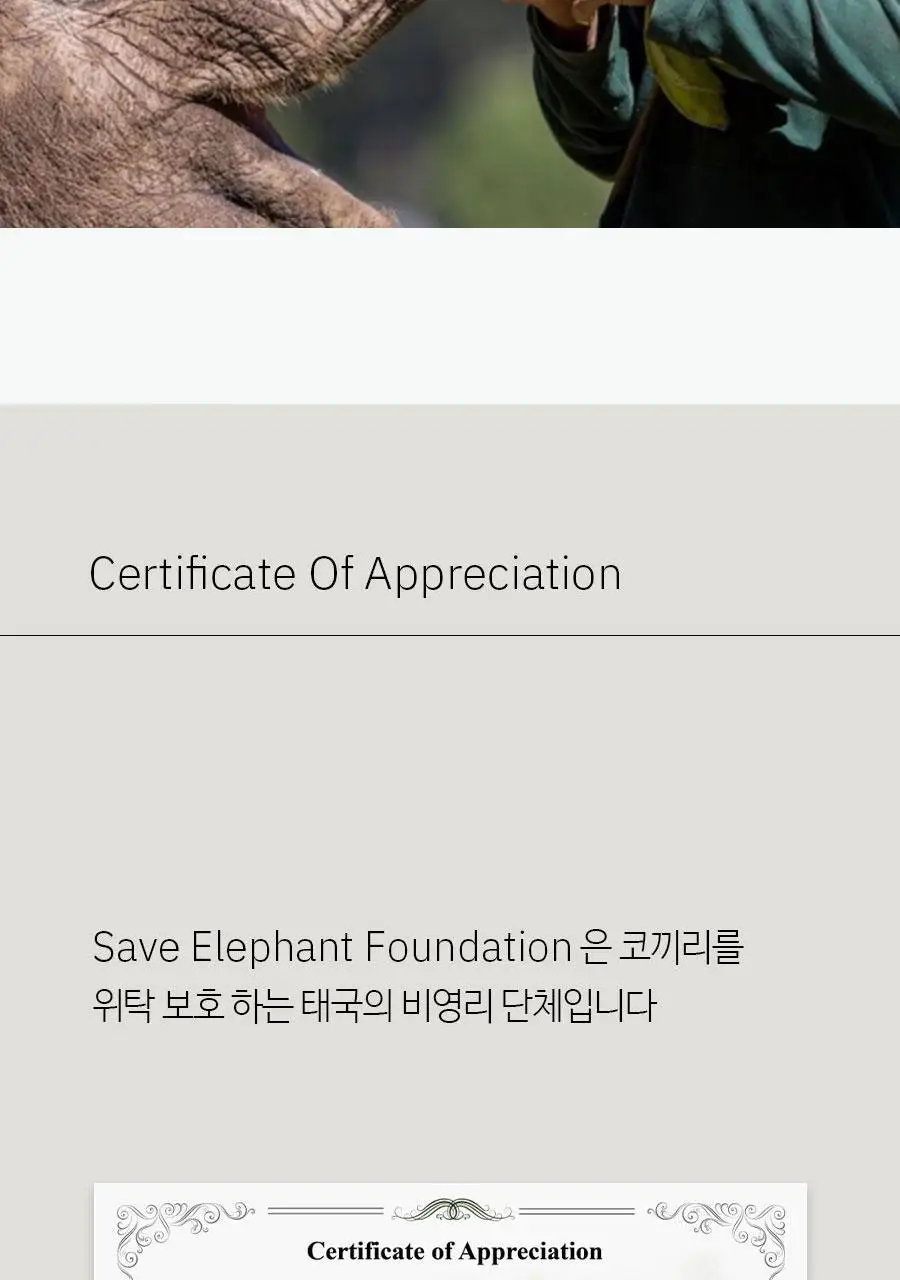 더 가네샤 요가매트 백 상세페이지 43