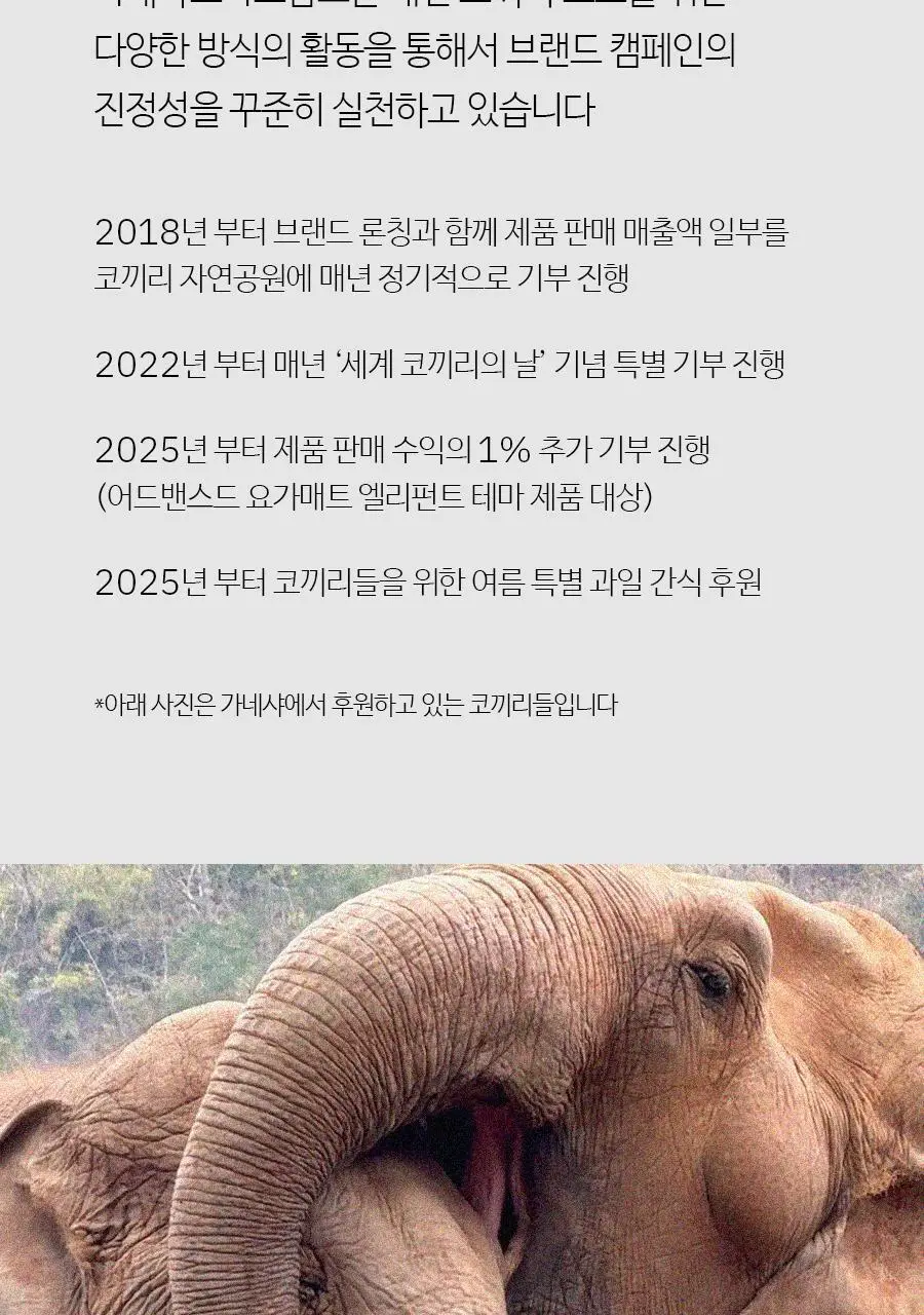 더 가네샤 요가매트 백 상세페이지 52