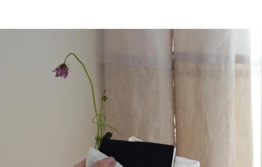 코지모지 플라워 베드 멀티 파우치 상세페이지 2