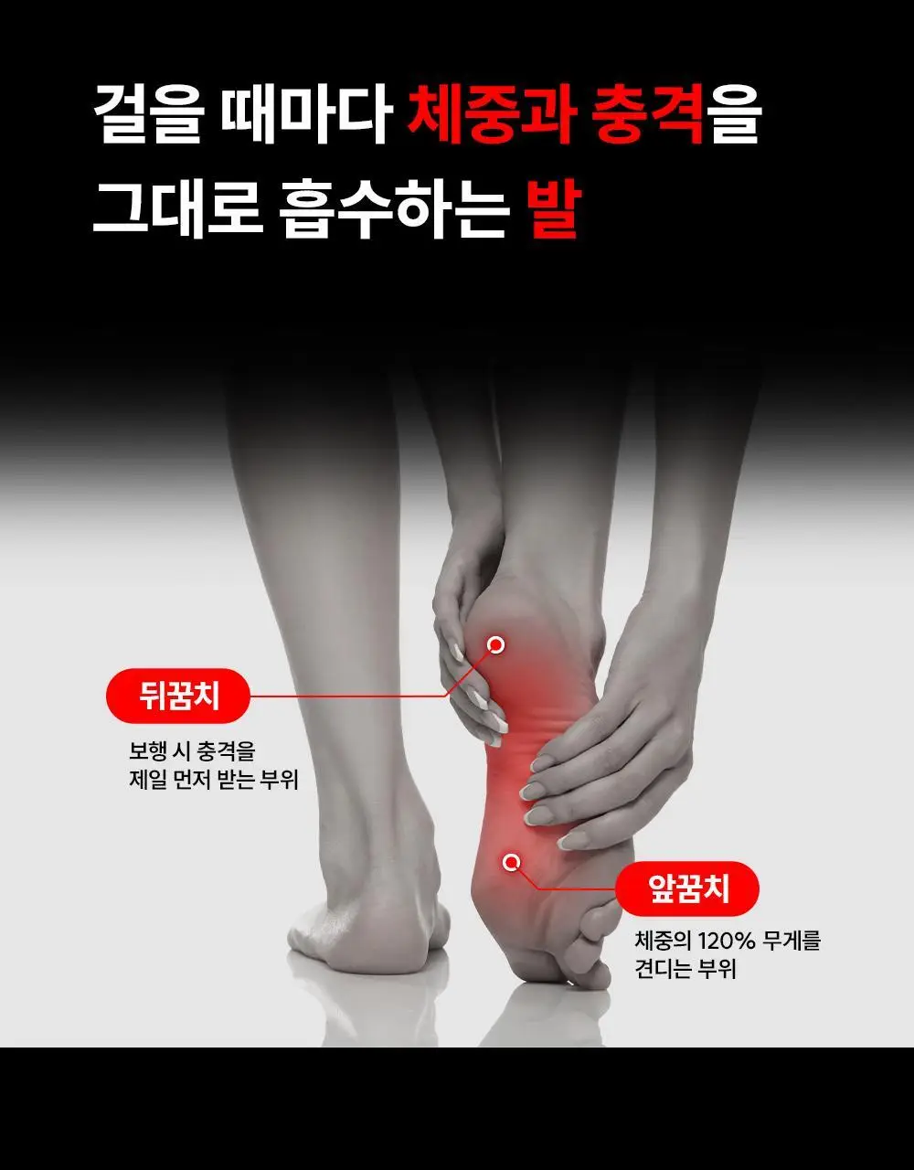 바르너 아치스본 2종 택1 (M, L) 상세페이지 9