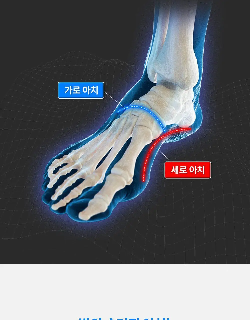 바르너 아치스본 2종 택1 (M, L) 상세페이지 37