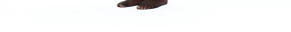 베리시 올데이 스타킹 노스크래치 (베이지/블랙) 상세페이지 9